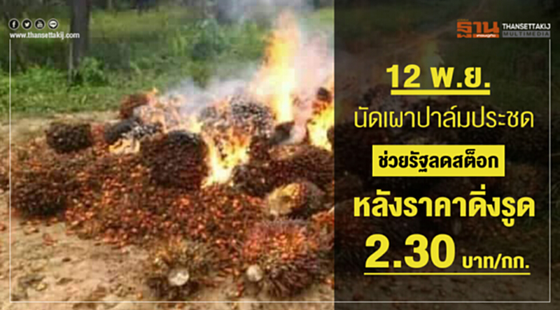 12 พ.ย. นัดเผาปาล์มประชด! ช่วยรัฐลดสต็อก หลังราคาดิ่งรูด 2.30 บาท/กก. 12 พ.ย. นัดเผาปาล์มประชด! ช่วยรัฐลดสต็อก หลังราคาดิ่งรูด 2.30 บาท/กก.