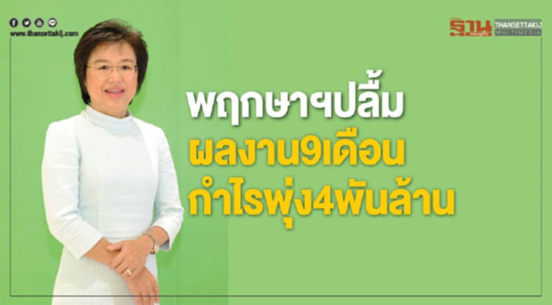 พฤกษาฯปลื้มผลงาน9เดือน กำไรพุ่ง4พันล้าน พฤกษาฯปลื้มผลงาน9เดือน กำไรพุ่ง4พันล้าน