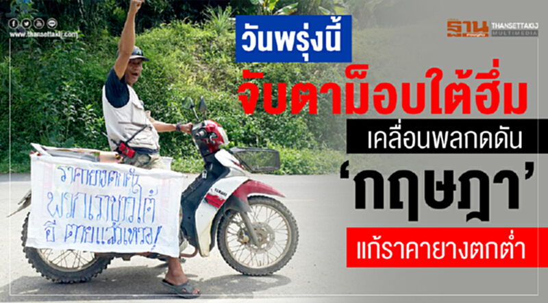 จับตา 14 พ.ย. ม็อบใต้เคลื่อนพลกดดัน 'กฤษฎา' แก้ราคายางตกต่ำ จับตา 14 พ.ย. ม็อบใต้เคลื่อนพลกดดัน 'กฤษฎา' แก้ราคายางตกต่ำ