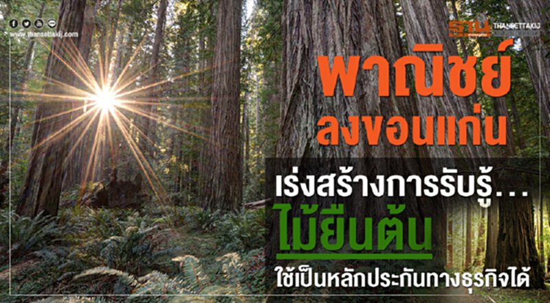 พาณิชย์ตอกย้ำไม้ยืนต้นใช้เป็นหลักประกันทางธุรกิจได้ พาณิชย์ตอกย้ำไม้ยืนต้นใช้เป็นหลักประกันทางธุรกิจได้