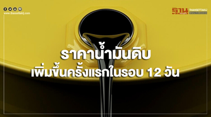 ราคาน้ำมันดิบเพิ่มขึ้นครั้งแรกหลังลดลงติดต่อกัน 12 วัน ราคาน้ำมันดิบเพิ่มขึ้นครั้งแรกหลังลดลงติดต่อกัน 12 วัน