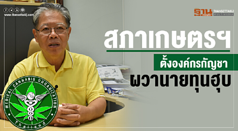สภาเกษตรฯ ตั้ง "องค์กรกัญชา" ผวานายทุนฮุบ สภาเกษตรฯ ตั้ง "องค์กรกัญชา" ผวานายทุนฮุบ