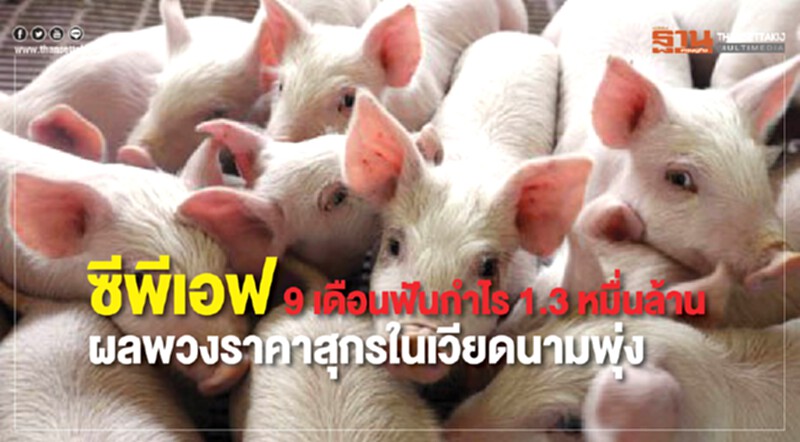 ซีพีเอฟ 9 เดือนฟันกำไร 1.3 หมื่นล้าน อานิสงส์ราคาสุกรในเวียดนามกลับมาพุ่ง ซีพีเอฟ 9 เดือนฟันกำไร 1.3 หมื่นล้าน อานิสงส์ราคาสุกรในเวียดนามกลับมาพุ่ง
