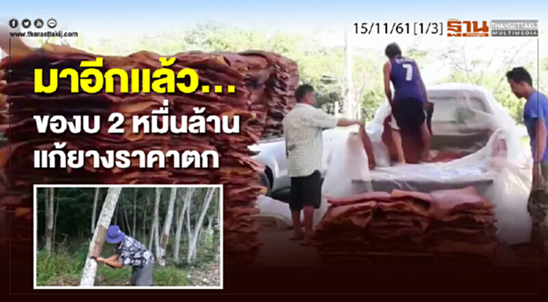 ชั่วโมงฐานเศรษฐกิจ 15/11/61 : มาอีกเเล้ว...ของบ 2 หมื่นล้านแก้ยางราคาตก ชั่วโมงฐานเศรษฐกิจ 15/11/61 : มาอีกเเล้ว...ของบ 2 หมื่นล้านแก้ยางราคาตก