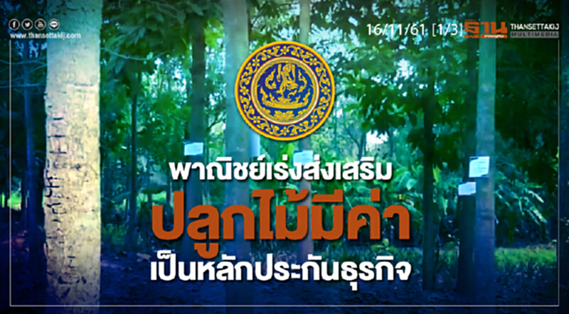 ชั่วโมงฐานเศรษฐกิจ 16/11/61 : พาณิชย์เร่งส่งเสริมปลูกไม้มีค่าเป็นหลักประกันธุรกิจ ชั่วโมงฐานเศรษฐกิจ 16/11/61 : พาณิชย์เร่งส่งเสริมปลูกไม้มีค่าเป็นหลักประกันธุรกิจ
