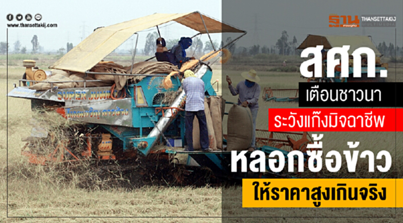 สศก. เตือน! ชาวนาระวังแก๊งมิจฉาชีพหลอกซื้อข้าว ให้ราคาสูงเกินจริง สศก. เตือน! ชาวนาระวังแก๊งมิจฉาชีพหลอกซื้อข้าว ให้ราคาสูงเกินจริง