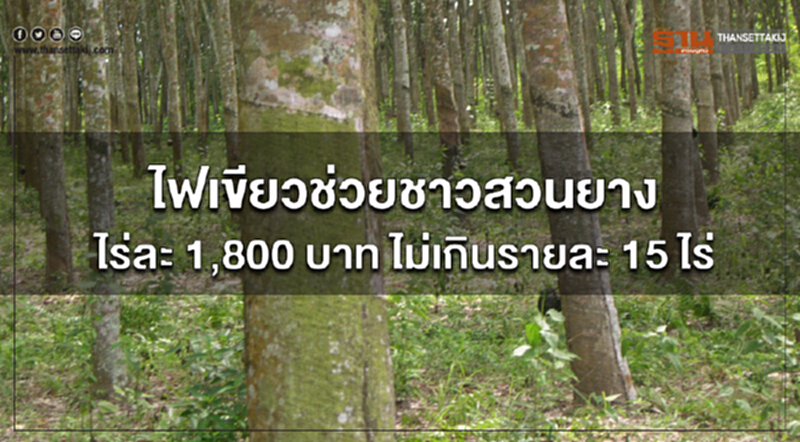 ครม.ไฟเขียวช่วยชาวสวนยางไร่ละ 1,800 บาท ไม่เกินรายละ 15 ไร่ ครม.ไฟเขียวช่วยชาวสวนยางไร่ละ 1,800 บาท ไม่เกินรายละ 15 ไร่
