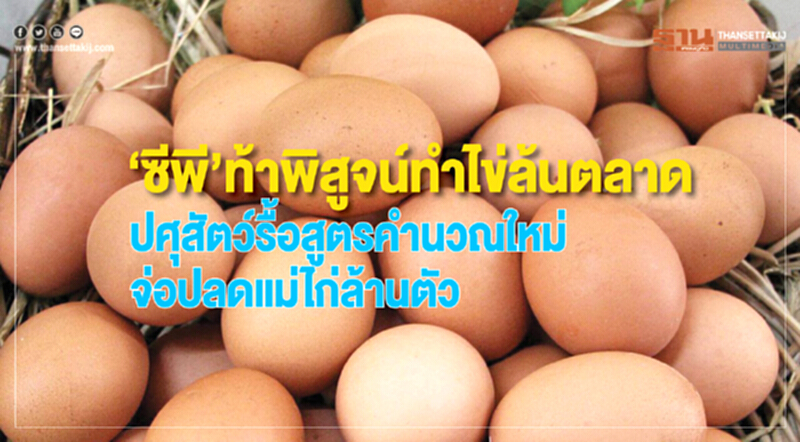 'ซีพี' ท้าพิสูจน์ทำไข่ล้นตลาด! ปศุสัตว์รื้อสูตรคำนวณใหม่ - จ่อปลดแม่ไก่ล้านตัว 'ซีพี' ท้าพิสูจน์ทำไข่ล้นตลาด! ปศุสัตว์รื้อสูตรคำนวณใหม่ - จ่อปลดแม่ไก่ล้านตัว