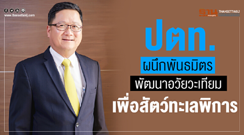 ปตท.ผนึก3องค์กรพัฒนาอวัยวะเทียมเพื่อสัตว์ทะเลพิการ ปตท.ผนึก3องค์กรพัฒนาอวัยวะเทียมเพื่อสัตว์ทะเลพิการ