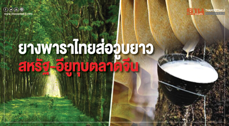 ยางพาราไทยส่อวูบยาว สหรัฐ-อียูทุบตลาดจีน ยางพาราไทยส่อวูบยาว สหรัฐ-อียูทุบตลาดจีน