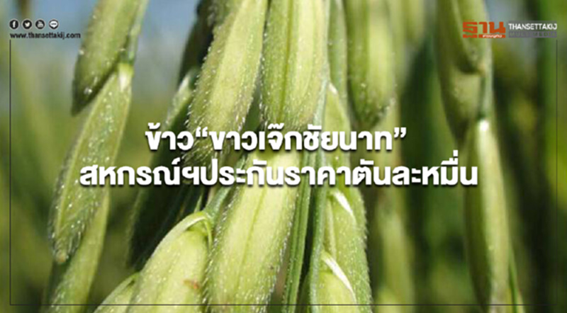 ข้าว“ขาวเจ๊กชัยนาท” สหกรณ์ฯประกันราคาขั้นต่ำตันละหมื่น ข้าว“ขาวเจ๊กชัยนาท” สหกรณ์ฯประกันราคาขั้นต่ำตันละหมื่น