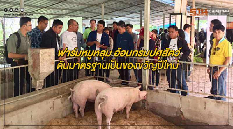 “ฟาร์มหมูหลุม” อ้อนกรมปศุสัตว์ดันมาตรฐานเป็นของขวัญปีใหม่ “ฟาร์มหมูหลุม” อ้อนกรมปศุสัตว์ดันมาตรฐานเป็นของขวัญปีใหม่