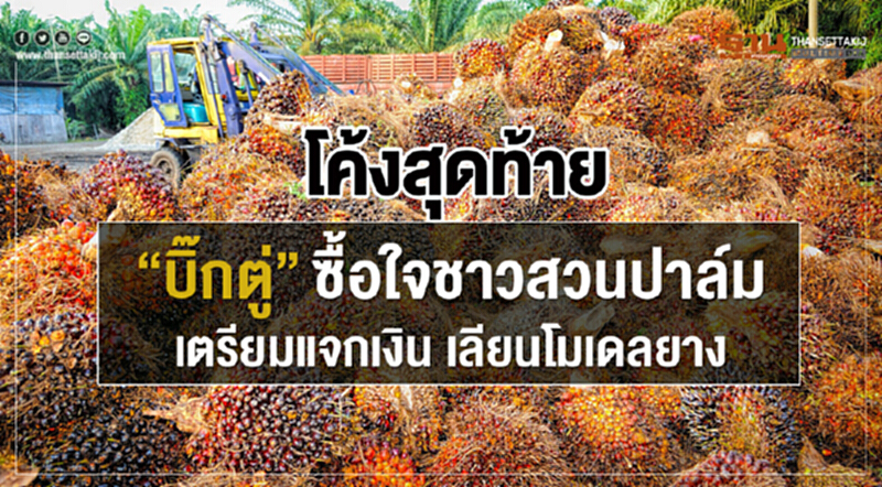 โค้งสุดท้าย "บิ๊กตู่" ซื้อใจชาวสวนปาล์ม เตรียมแจกเงินเลียนโมเดลยาง โค้งสุดท้าย "บิ๊กตู่" ซื้อใจชาวสวนปาล์ม เตรียมแจกเงินเลียนโมเดลยาง