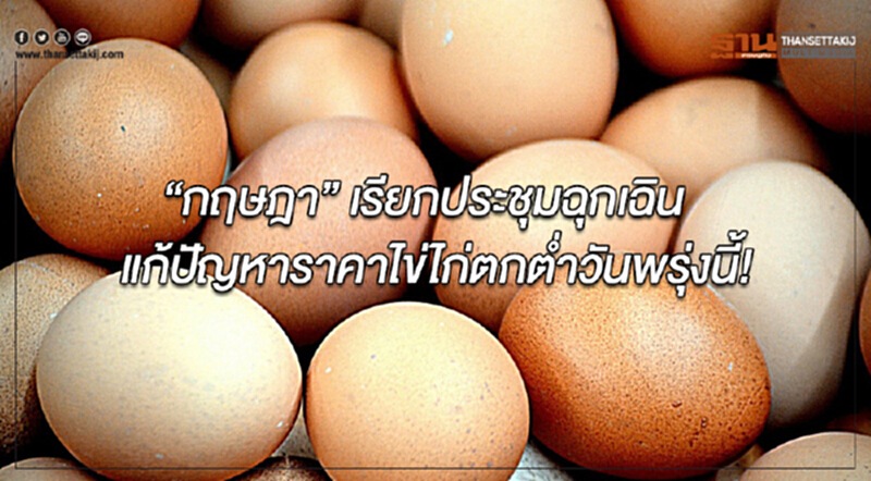 'กฤษฎา' เรียกประชุมฉุกเฉินแก้ปัญหาราคา "ไข่ไก่" ตกต่ำ วันพรุ่งนี้!! 'กฤษฎา' เรียกประชุมฉุกเฉินแก้ปัญหาราคา "ไข่ไก่" ตกต่ำ วันพรุ่งนี้!!