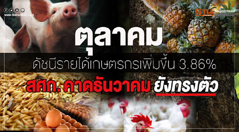 สศก.คาดธันวาคมรายได้เกษตรกรทรงตัว สศก.คาดธันวาคมรายได้เกษตรกรทรงตัว