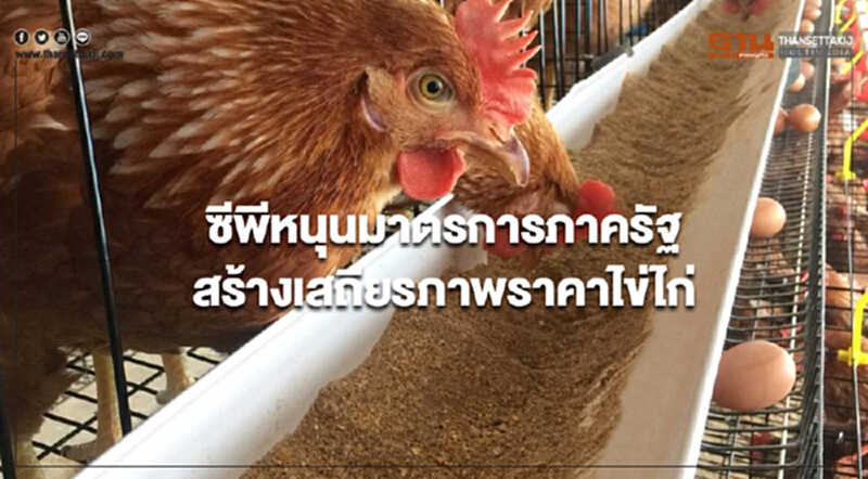 'ซีพี' หนุนมาตรการภาครัฐสร้างเสถียรภาพ "ราคาไข่ไก่" 'ซีพี' หนุนมาตรการภาครัฐสร้างเสถียรภาพ "ราคาไข่ไก่"