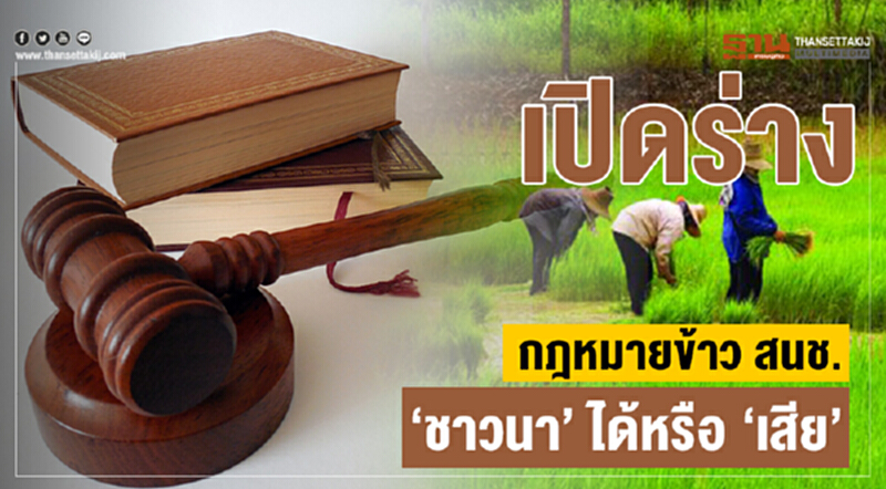เปิดร่างกฎหมายข้าวฉบับ สนช. "ชาวนา" ได้หรือ "เสีย" เปิดร่างกฎหมายข้าวฉบับ สนช. "ชาวนา" ได้หรือ "เสีย"