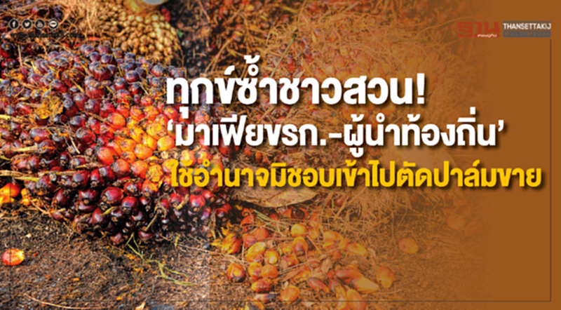 ทุกข์ซ้ำชาวสวน! “มาเฟียขรก.-ผู้นำท้องถิ่น” ใช้อำนาจมิชอบเข้าไปตัดปาล์มขาย ทุกข์ซ้ำชาวสวน! “มาเฟียขรก.-ผู้นำท้องถิ่น” ใช้อำนาจมิชอบเข้าไปตัดปาล์มขาย