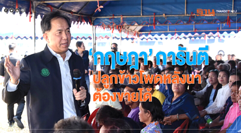"กฤษฎา"การันตีปลูกข้าวโพดหลังนาต้องขายได้ "กฤษฎา"การันตีปลูกข้าวโพดหลังนาต้องขายได้