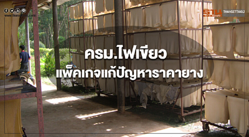 ครม. ไฟเขียว! แพ็คเกจแก้ปัญหาราคายาง ครม. ไฟเขียว! แพ็คเกจแก้ปัญหาราคายาง
