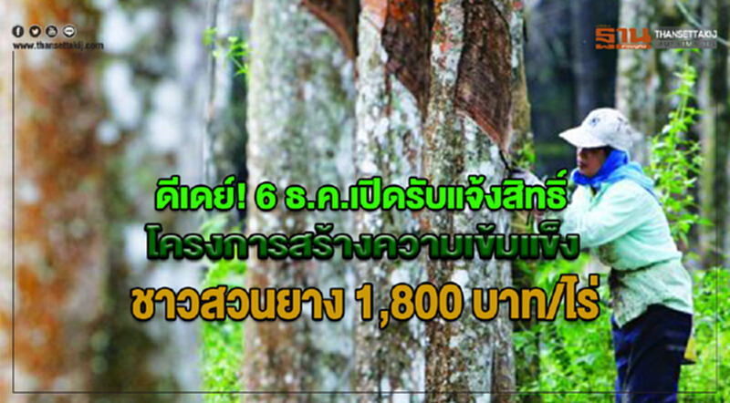 ดีเดย์! 6 ธ.ค.เปิดรับแจ้งสิทธิ์โครงการสร้างความเข้มแข็งชาวสวนยาง 1,800 บาท/ไร่ ดีเดย์! 6 ธ.ค.เปิดรับแจ้งสิทธิ์โครงการสร้างความเข้มแข็งชาวสวนยาง 1,800 บาท/ไร่