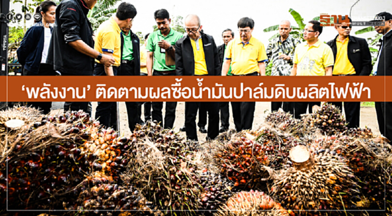 'พลังงาน' ติดตามผลซื้อน้ำมันปาล์มดิบผลิตไฟฟ้า 'พลังงาน' ติดตามผลซื้อน้ำมันปาล์มดิบผลิตไฟฟ้า