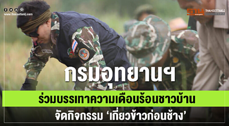 กรมอุทยานฯ ร่วมบรรเทาความเดือนร้อนชาวบ้าน จัดกิจกรรม "เกี่ยวข้าวก่อนช้าง" กรมอุทยานฯ ร่วมบรรเทาความเดือนร้อนชาวบ้าน จัดกิจกรรม "เกี่ยวข้าวก่อนช้าง"
