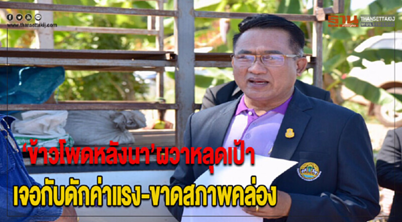 "ข้าวโพดหลังนา" ผวาหลุดเป้า! เจอกับดักค่าแรง-ขาดสภาพคล่อง "ข้าวโพดหลังนา" ผวาหลุดเป้า! เจอกับดักค่าแรง-ขาดสภาพคล่อง