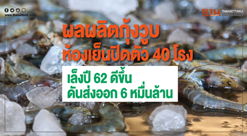 ผลผลิต 'กุ้ง' วูบ! สะเทือนห้องเย็นปิดตัว 40 โรง เล็งปี 62 ดีขึ้น ดันส่งออกได้ 6 หมื่นล้าน ผลผลิต 'กุ้ง' วูบ! สะเทือนห้องเย็นปิดตัว 40 โรง เล็งปี 62 ดีขึ้น ดันส่งออกได้ 6 หมื่นล้าน