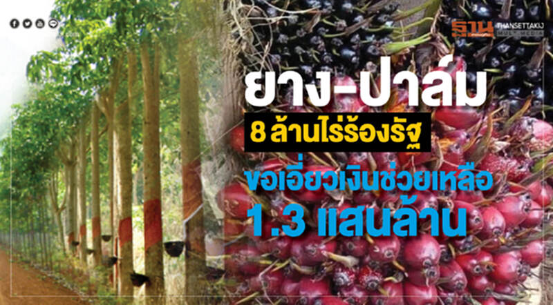 "ยาง-ปาล์ม" 8 ล้านไร่ ไม่มีเอกสารสิทธิร้องรัฐ ขอเอี่ยวเงินช่วยเหลือ 1.3 แสนล้าน!! "ยาง-ปาล์ม" 8 ล้านไร่ ไม่มีเอกสารสิทธิร้องรัฐ ขอเอี่ยวเงินช่วยเหลือ 1.3 แสนล้าน!!