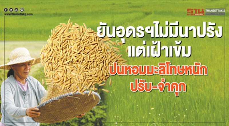 ยันอุดรฯไม่มีนาปรังแต่เฝ้าเข้มปนหอมมะลิโทษหนักปรับ-จําคุก ยันอุดรฯไม่มีนาปรังแต่เฝ้าเข้มปนหอมมะลิโทษหนักปรับ-จําคุก