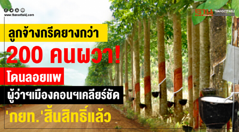 ที่ดิน 4,600 ไร่ "ผู้ว่าฯเมืองคอนฯ" เคลียร์ชัด! กยท. สิ้นสิทธิ์! ลูกจ้างผวาโดนลอยแพ ที่ดิน 4,600 ไร่ "ผู้ว่าฯเมืองคอนฯ" เคลียร์ชัด! กยท. สิ้นสิทธิ์! ลูกจ้างผวาโดนลอยแพ