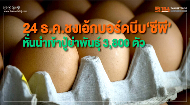 24 ธ.ค.ชงเอ้กบอร์ดบีบ“ซีพี”หั่นนำเข้าปู่ย่าพันธุ์ 3,800 ตัว 24 ธ.ค.ชงเอ้กบอร์ดบีบ“ซีพี”หั่นนำเข้าปู่ย่าพันธุ์ 3,800 ตัว