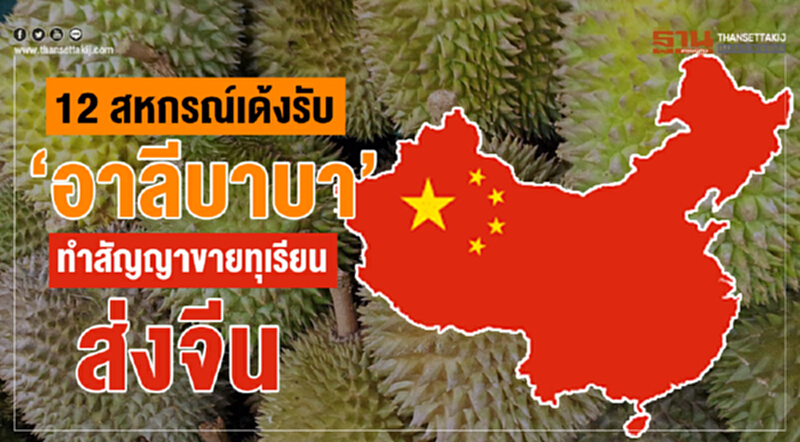 "12 สหกรณ์" เด้งรับ 'อาลีบาบา' ทำสัญญาขาย "ทุเรียน" ส่งจีน "12 สหกรณ์" เด้งรับ 'อาลีบาบา' ทำสัญญาขาย "ทุเรียน" ส่งจีน