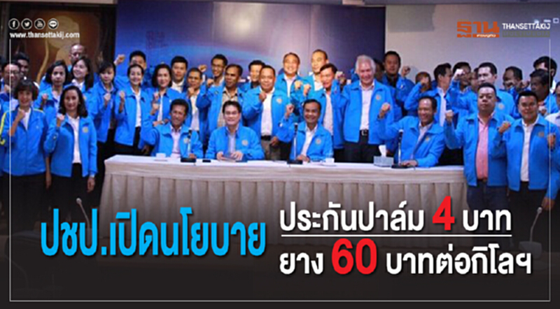 ปชป. เปิดนโยบายประกันปาล์ม 4 บาท ยาง 60 บาทต่อกิโลฯ ปชป. เปิดนโยบายประกันปาล์ม 4 บาท ยาง 60 บาทต่อกิโลฯ