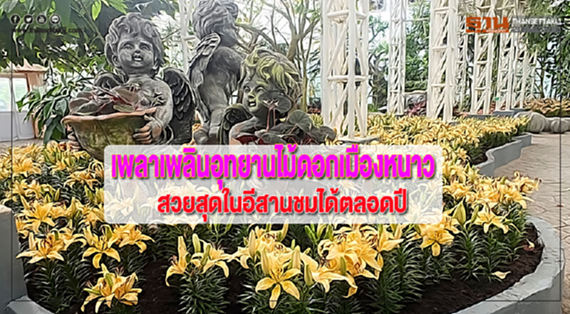 เพลาเพลินอุทยานไม้ดอกเมืองหนาวสวยสุดในอีสานชมได้ตลอดปีเปิดโซนใหม่รับปี 62 เพลาเพลินอุทยานไม้ดอกเมืองหนาวสวยสุดในอีสานชมได้ตลอดปีเปิดโซนใหม่รับปี 62