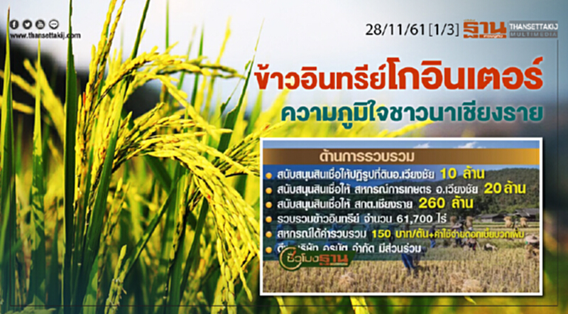 ชั่วโมงฐานเศรษฐกิจ 28/12/61 : ข้าวอินทรีย์โกอินเตอร์ ความภูมิใจชาวนาเชียงราย ชั่วโมงฐานเศรษฐกิจ 28/12/61 : ข้าวอินทรีย์โกอินเตอร์ ความภูมิใจชาวนาเชียงราย