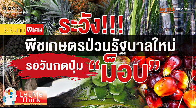 ระวัง!!! พืชเกษตรป่วนรัฐบาลใหม่ รอวันกดปุ่ม “ม็อบ” ระวัง!!! พืชเกษตรป่วนรัฐบาลใหม่ รอวันกดปุ่ม “ม็อบ”