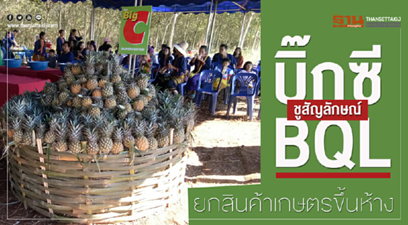 บิ๊กซีชูสัญลักษณ์ BQLยกสินค้าเกษตรขึ้นห้าง บิ๊กซีชูสัญลักษณ์ BQLยกสินค้าเกษตรขึ้นห้าง