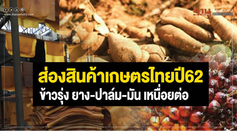 ส่องสินค้าเกษตรไทย ปี 62 'ข้าว' รุ่ง! "ยาง-ปาล์ม-มัน" เหนื่อยต่อ ส่องสินค้าเกษตรไทย ปี 62 'ข้าว' รุ่ง! "ยาง-ปาล์ม-มัน" เหนื่อยต่อ