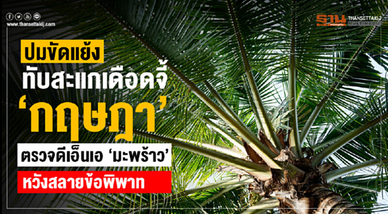 ผวาพ่อค้าย้อมแมว "มะพร้าว" ทับสะแก จี้! ตรวจดีเอ็นเอ ผวาพ่อค้าย้อมแมว "มะพร้าว" ทับสะแก จี้! ตรวจดีเอ็นเอ