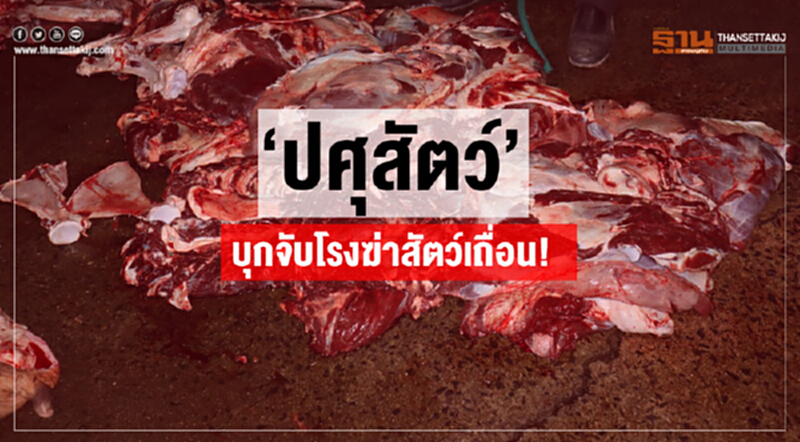 'ปศุสัตว์' บุกจับโรงฆ่าสัตว์เถื่อน! 'ปศุสัตว์' บุกจับโรงฆ่าสัตว์เถื่อน!