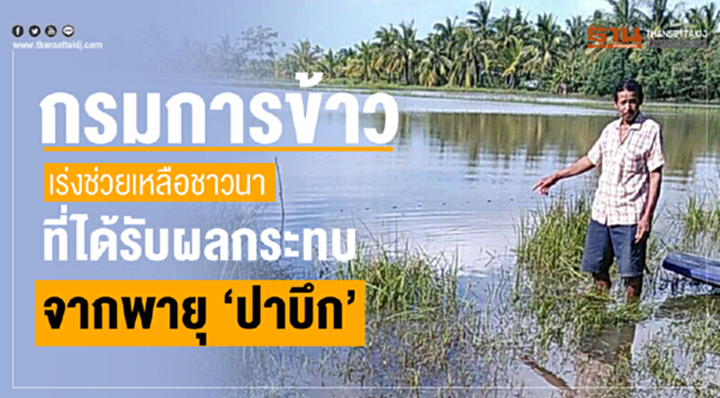 กรมการข้าวเร่งช่วยเหลือชาวนาที่ได้รับผลกระทบจากพายุ "ปาบึก" กรมการข้าวเร่งช่วยเหลือชาวนาที่ได้รับผลกระทบจากพายุ "ปาบึก"