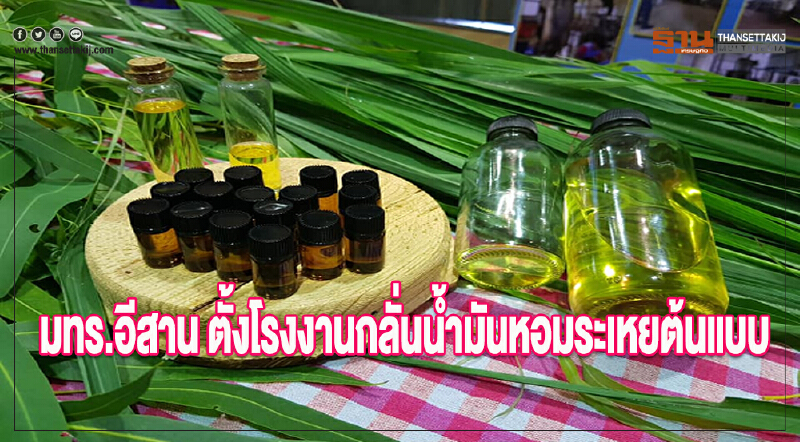 "มทร.อีสาน" ตั้งโรงงานกลั่นน้ำมันหอมระเหยต้นแบบ "มทร.อีสาน" ตั้งโรงงานกลั่นน้ำมันหอมระเหยต้นแบบ
