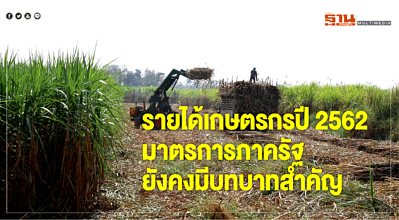 รายได้เกษตรกรปี 2562 มาตรการของภาครัฐยังคงมีบทบาทสำคัญ รายได้เกษตรกรปี 2562 มาตรการของภาครัฐยังคงมีบทบาทสำคัญ