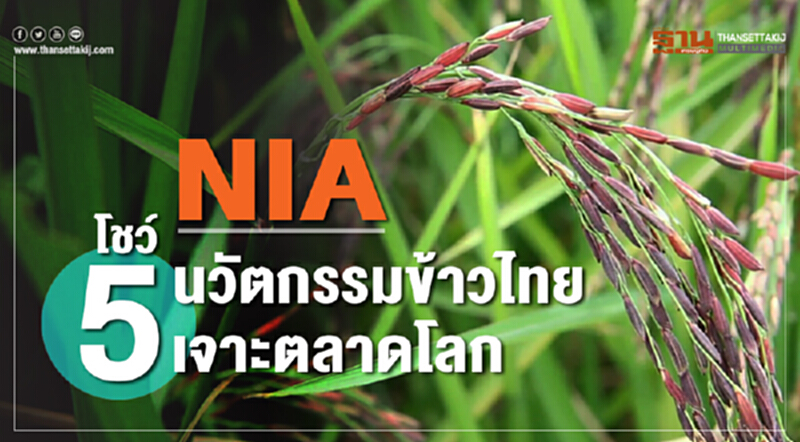 NIA โชว์ 5 นวัตกรรมข้าวไทยเจาะตลาดโลก NIA โชว์ 5 นวัตกรรมข้าวไทยเจาะตลาดโลก