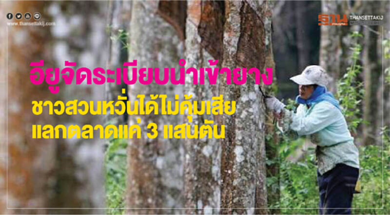 'อียู' จัดระเบียบนำเข้า "ยาง" !! ชาวสวนหวั่นได้ไม่คุ้มเสีย-แลกตลาดแค่ 3 แสนตัน 'อียู' จัดระเบียบนำเข้า "ยาง" !! ชาวสวนหวั่นได้ไม่คุ้มเสีย-แลกตลาดแค่ 3 แสนตัน