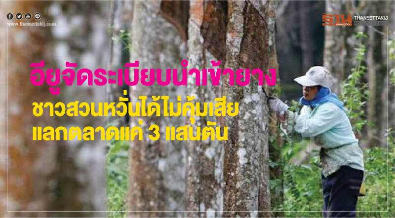 'อียู' จัดระเบียบนำเข้า "ยาง" !! ชาวสวนหวั่นได้ไม่คุ้มเสีย-แลกตลาดแค่ 3 แสนตัน