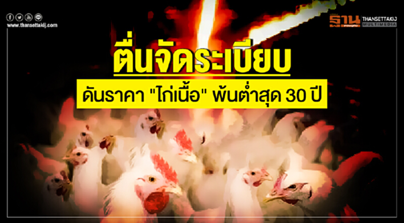 ตื่นจัดระเบียบ! ดันราคา "ไก่เนื้อ" พ้นต่ำสุด 30 ปี ตื่นจัดระเบียบ! ดันราคา "ไก่เนื้อ" พ้นต่ำสุด 30 ปี
