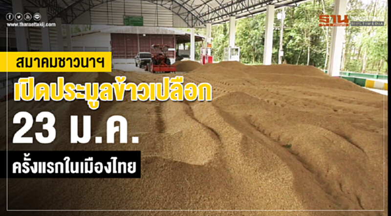เปิดประมูลออนไลน์ ข้าวเปลือกครั้งแรกในเมืองไทย เปิดประมูลออนไลน์ ข้าวเปลือกครั้งแรกในเมืองไทย